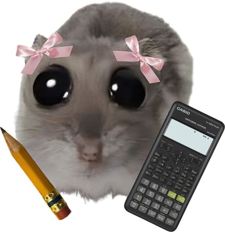 AMPERE COMPUTING LLC